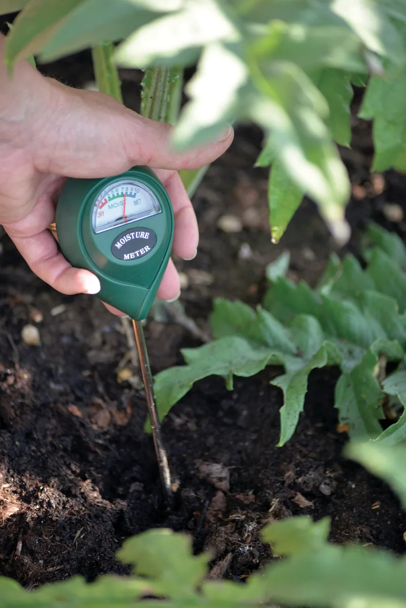 Soil moisture meter