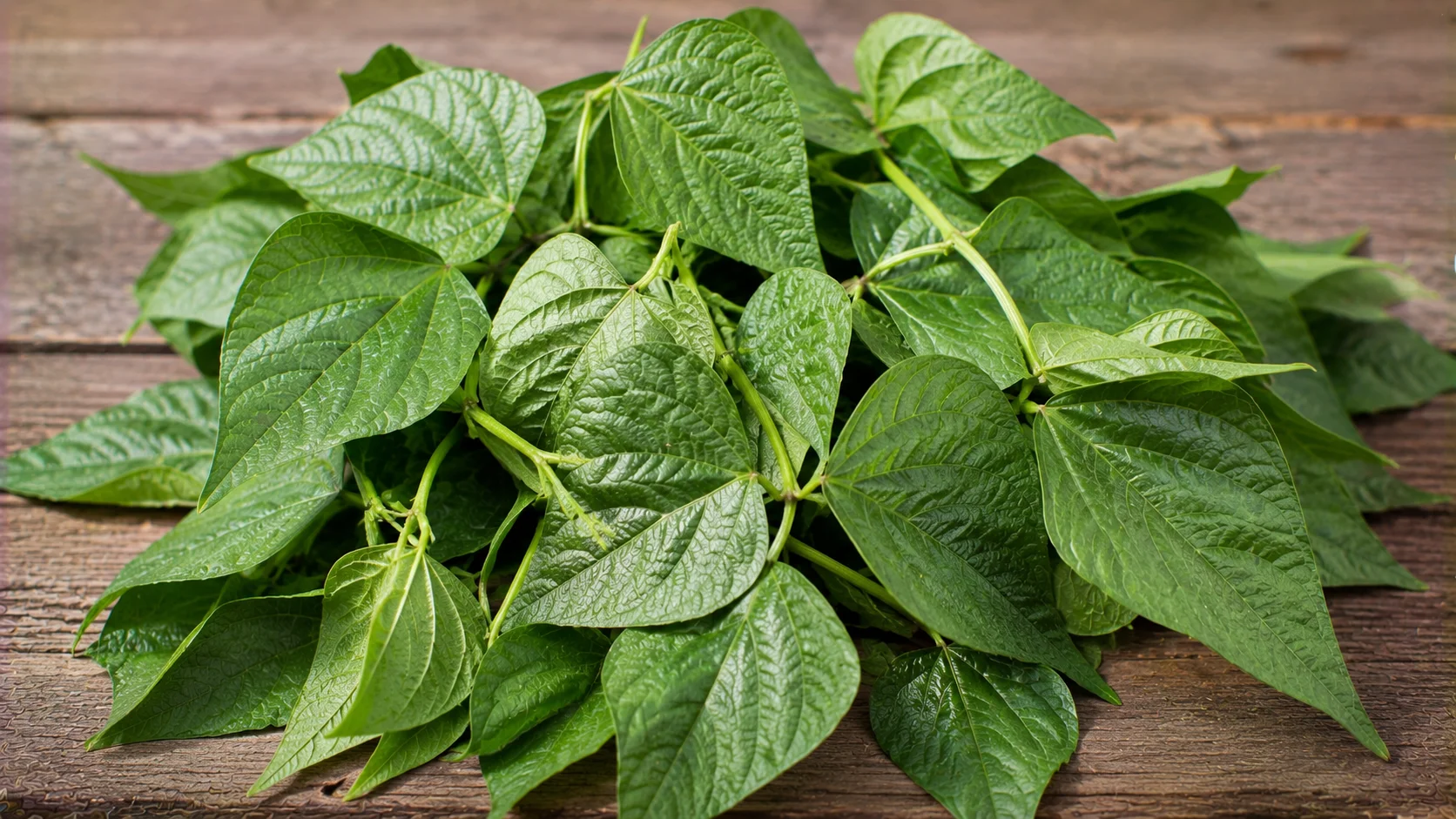 bean-leaves