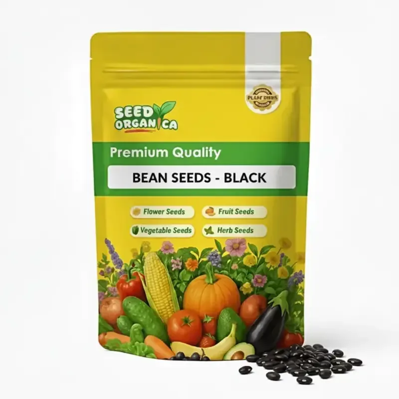 black-bean
