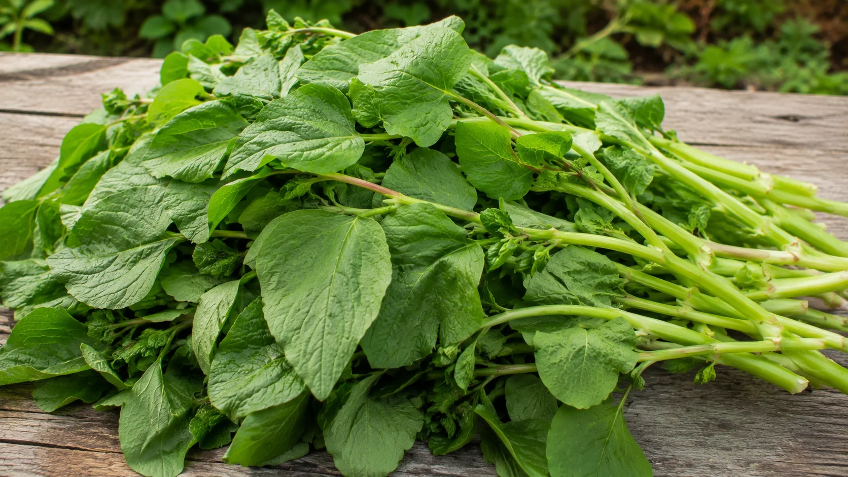 buckwheat-greens