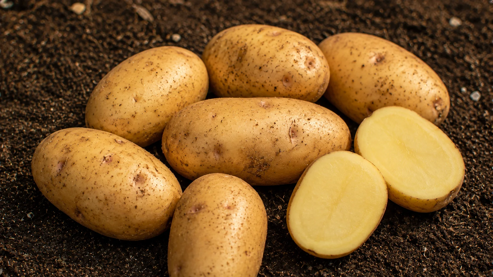 caribe-potato