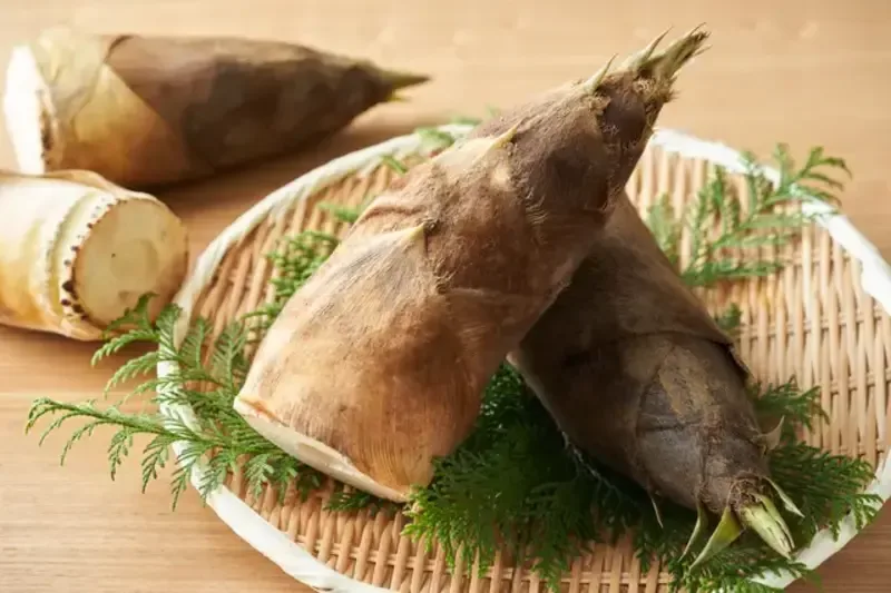 phyllostachys-bamboo-shoots