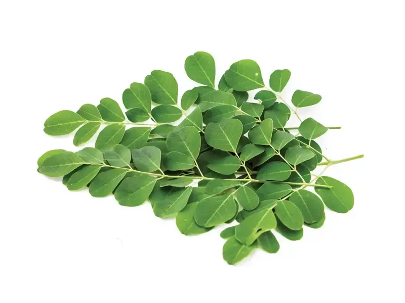 regiment-spinach