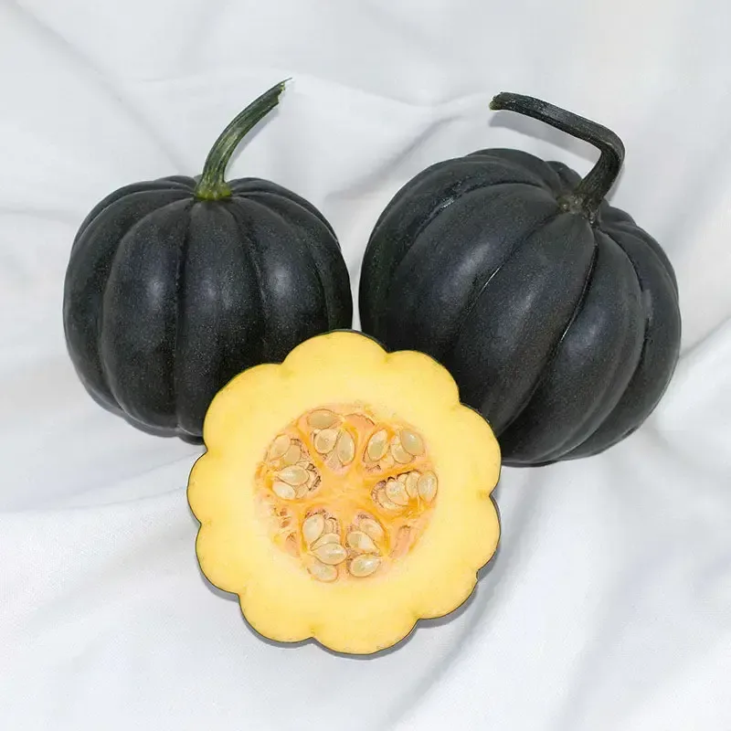 scallop-squash