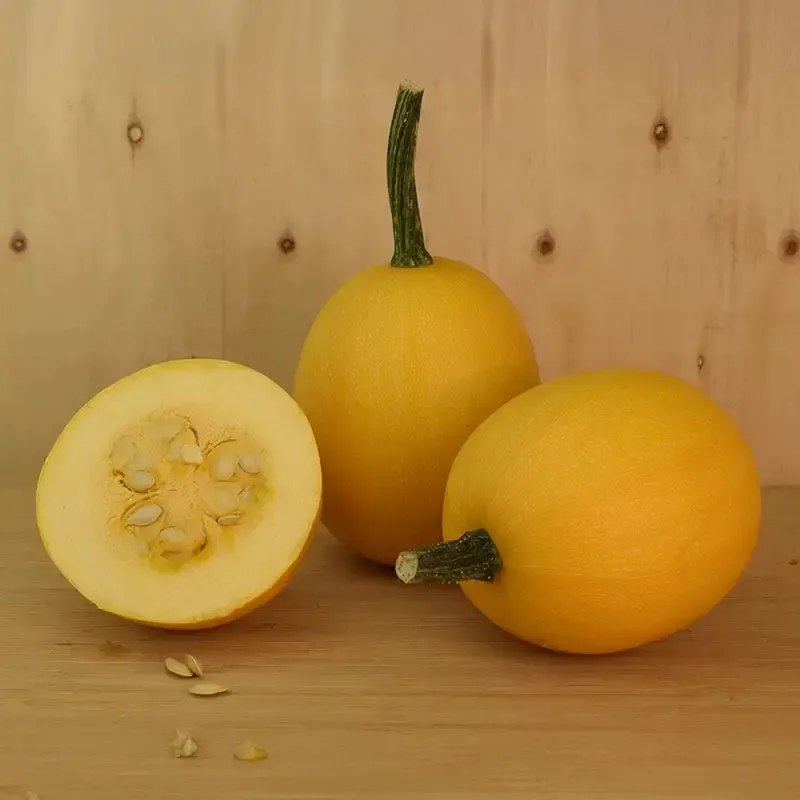small-wonder-spaghetti-squash