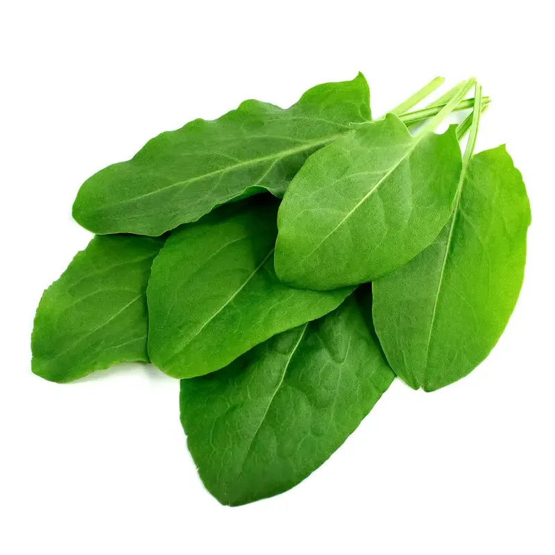 sorrel