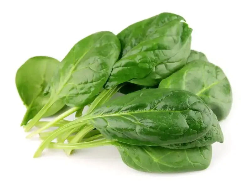 stevia