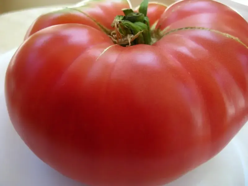 striped-german-tomato