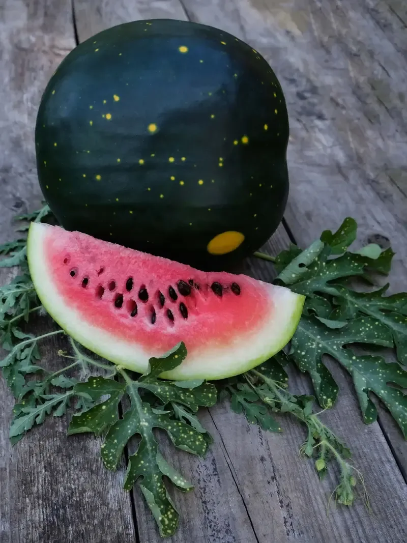 watermelon