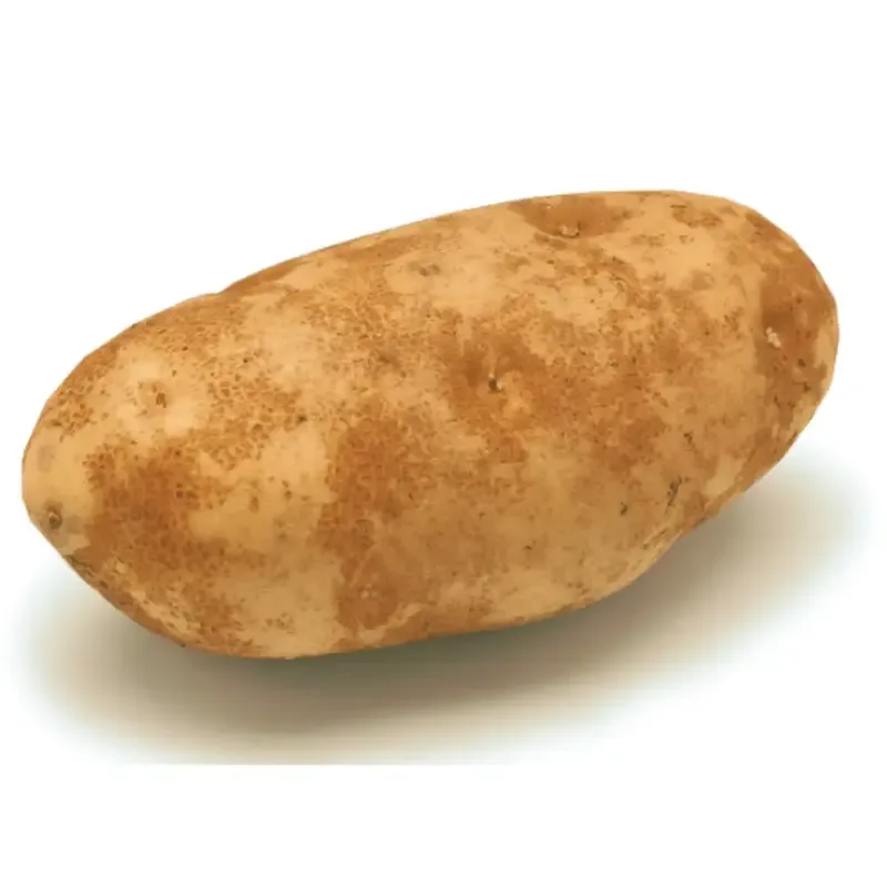 yellow-finn-potato