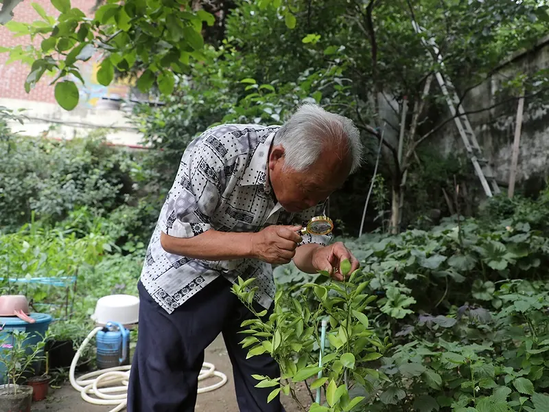 A Beginner's First-Year Gardening Plan