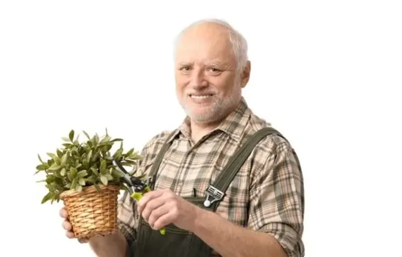 How to Become a Better Gardener