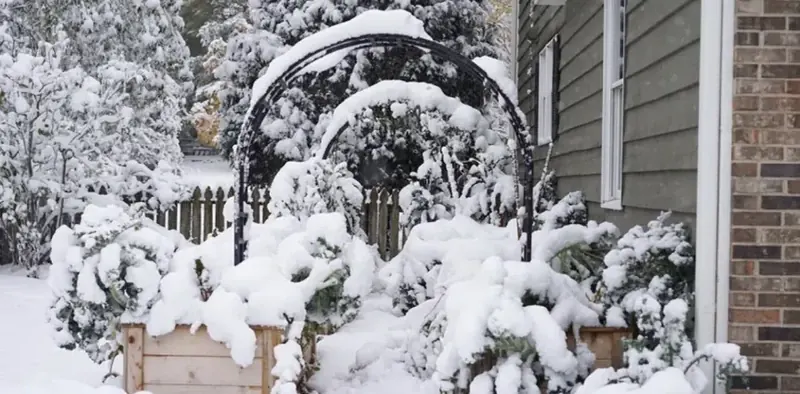 Preparing the Garden for Winter
