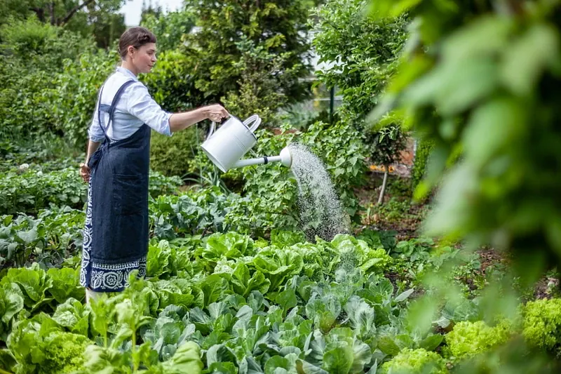 Watering the Garden