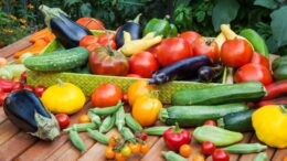 Summer Gardening