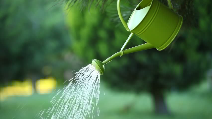 Gardening Tips and Tricks 4 watering garden