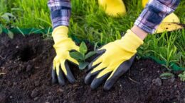 Gardening gloves