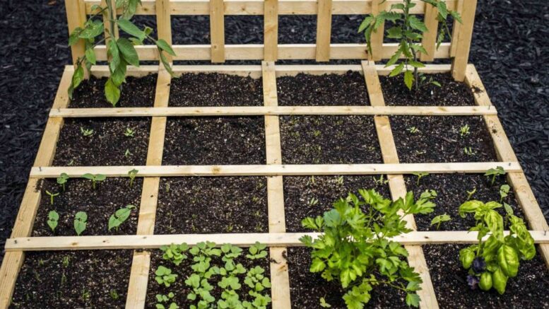 Square Foot Gardening