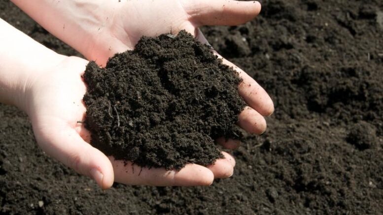blck soil
