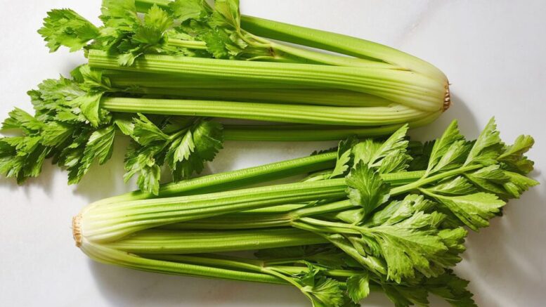 celery
