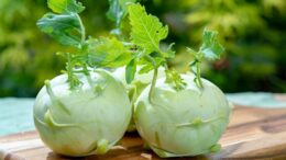 kohlrabi