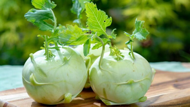 kohlrabi