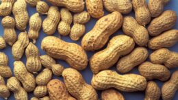 peanuts