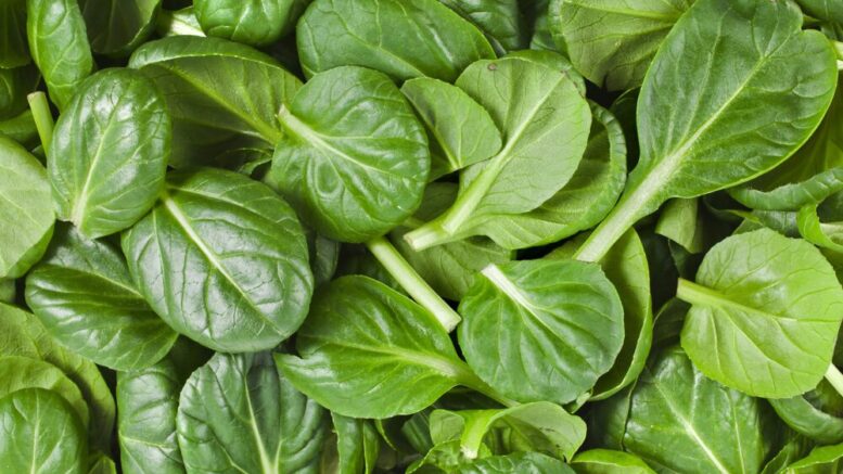 spinach