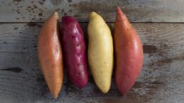 sweet potato scaled e1734739010198