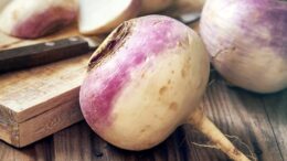 turnip