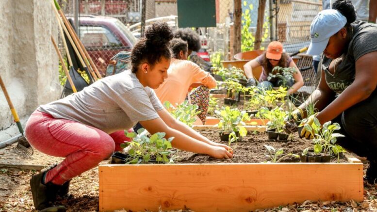 Benefits of community gardening