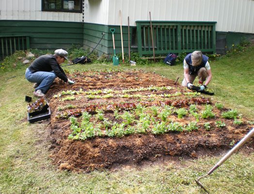 How Do I Grow A Garden? Learn 8 Different Ways! 2 lasagna garden