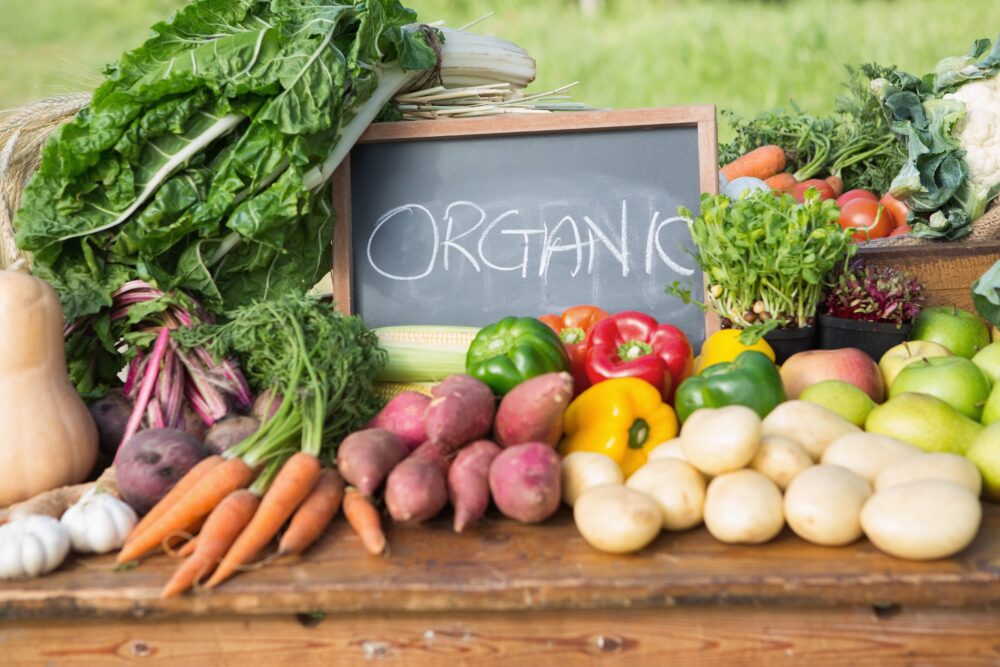 How Do I Grow A Garden? Learn 8 Different Ways! 5 organic gardening