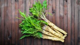 horseradish
