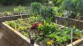 Prepare your spring garden