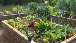Prepare your spring garden