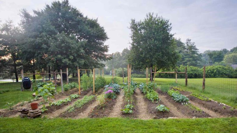springtime in the garden