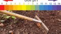 Understanding the Critical Role of Soil pH Levels
