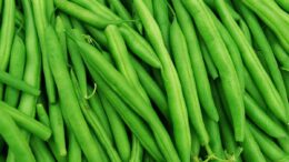 Green Beans