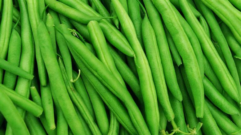 Green Beans