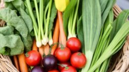Best May Vegetables