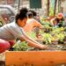 Benefits of community gardening