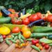 Summer Gardening