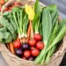 Best May Vegetables